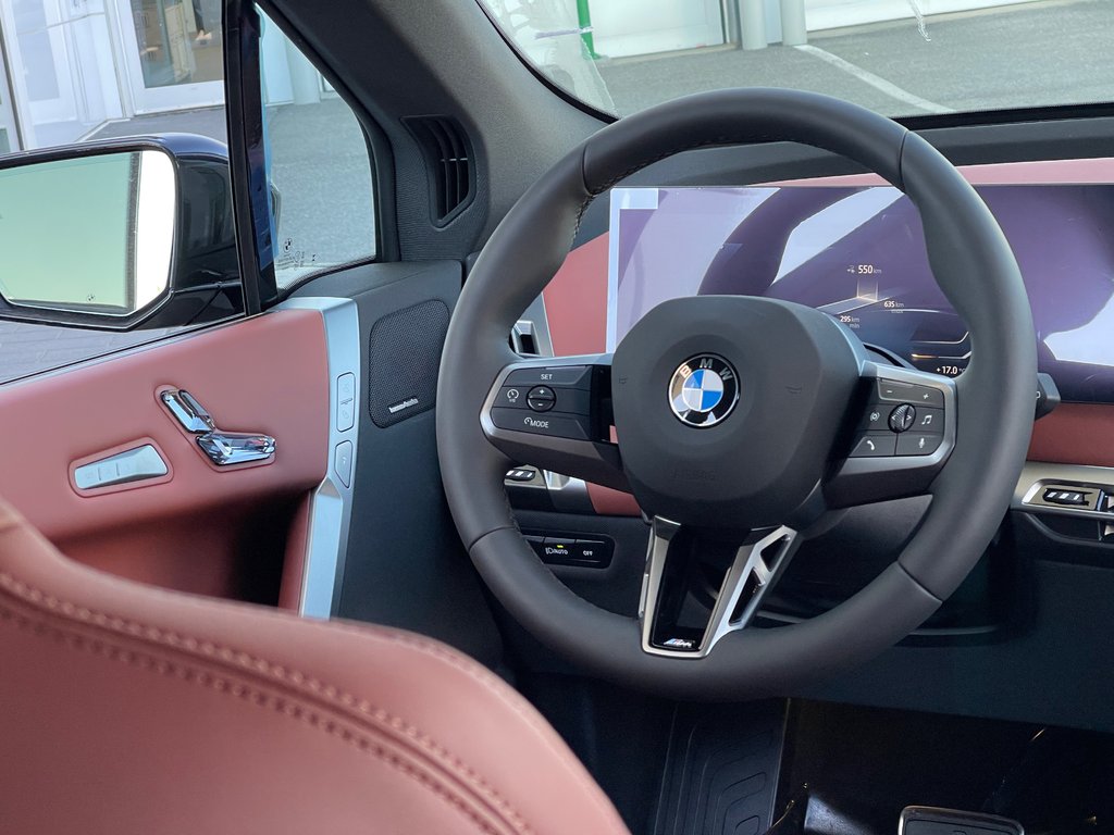 2026 BMW IX XDrive60 in Terrebonne, Quebec - 14 - w1024h768px