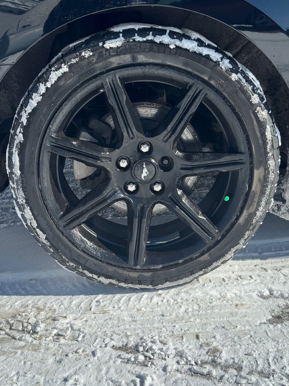 2022 Ford Mustang Ecoboost Convertible in Terrebonne, Quebec - 19 - w1024h768px
