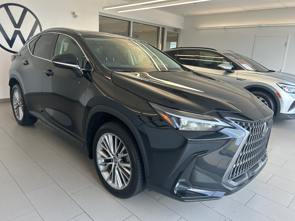 Lexus NX NX 350h 2024 à Boucherville, Québec - 2 - w1024h768px