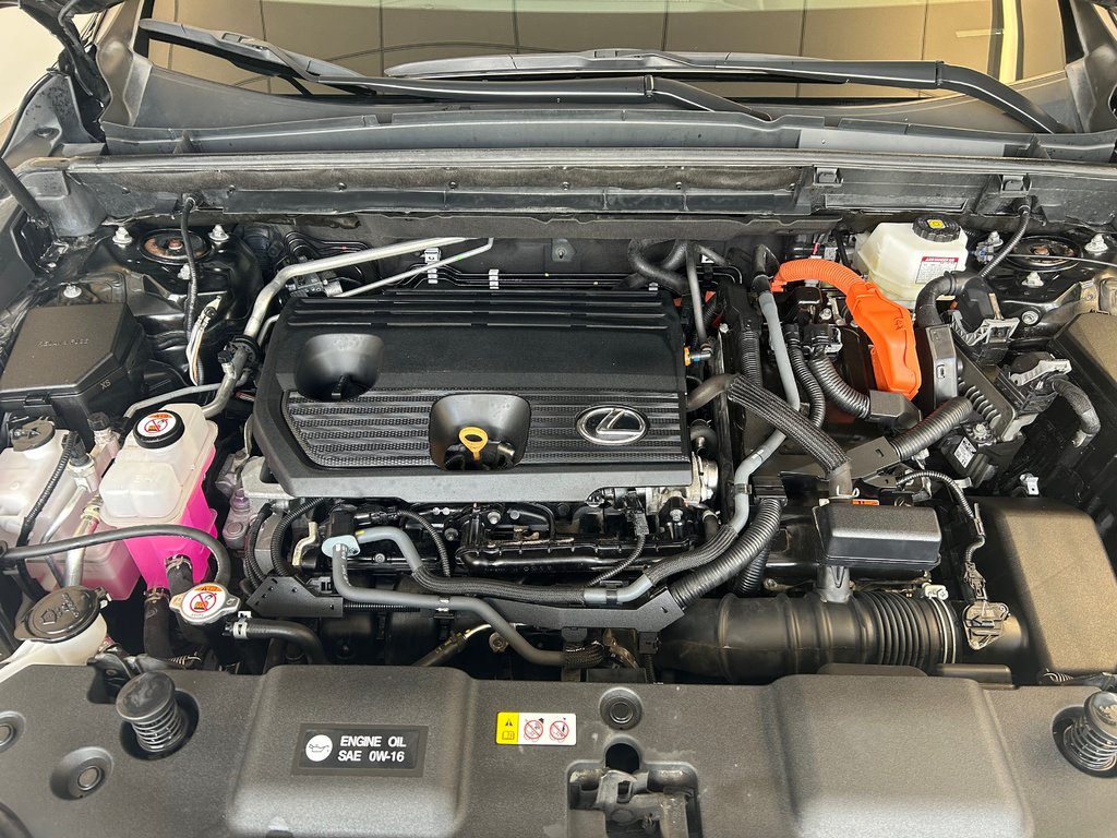 Lexus NX NX 350h 2024 à Boucherville, Québec - 36 - w1024h768px