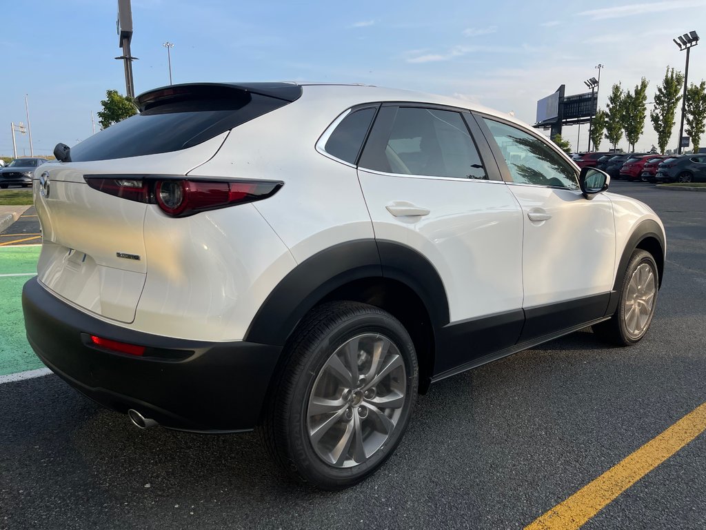 2024 Mazda CX-30 GS in Boucherville, Quebec - 5 - w1024h768px