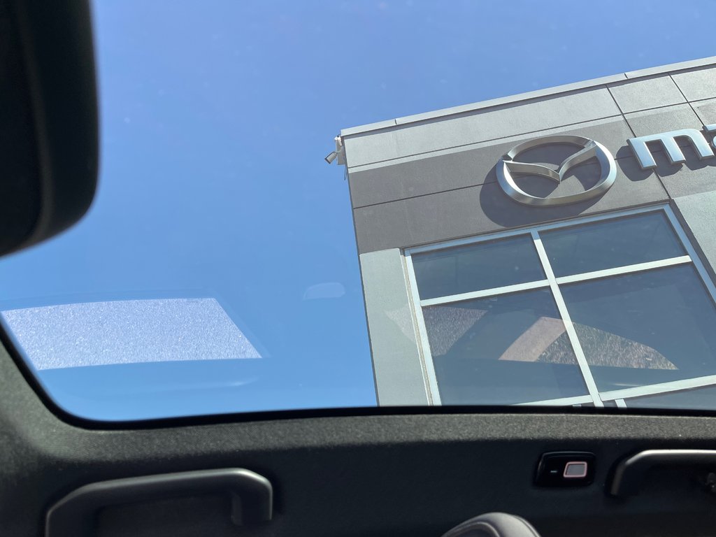 2023 Polestar 2 in Boucherville, Quebec - 9 - w1024h768px