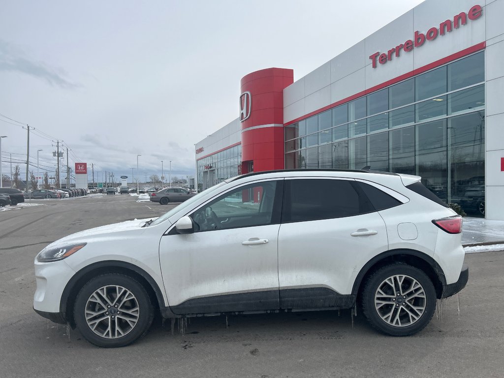 2021 Ford Escape SEL-2