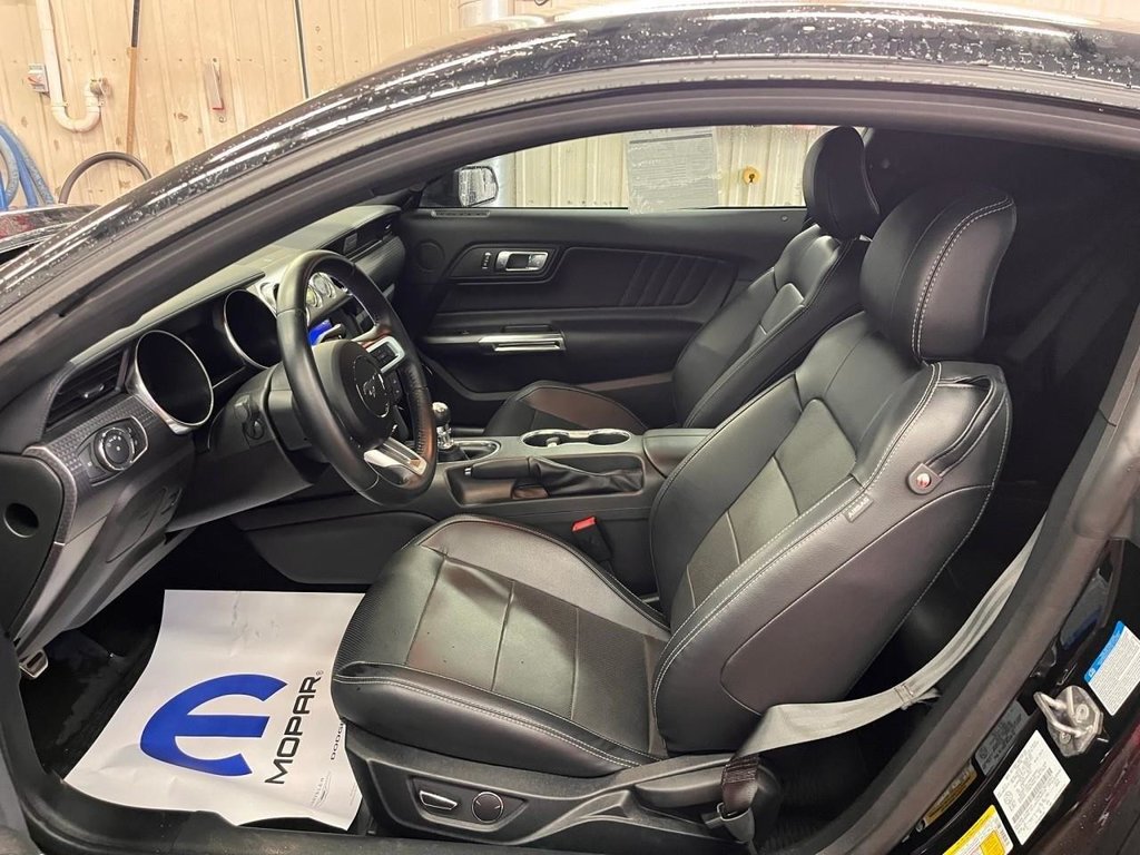 2019 Ford Mustang GT Premium in Boischatel, Quebec - 5 - w1024h768px