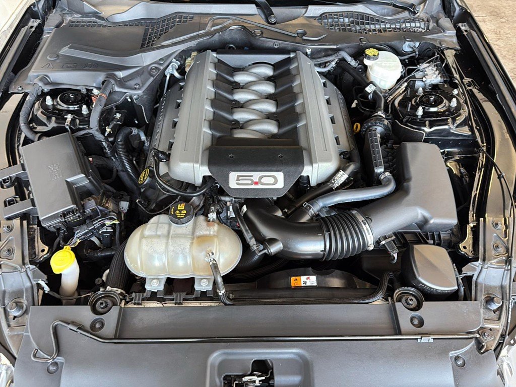 Ford MUSTANG  2017 à Saint-Hyacinthe, Québec - 8 - w1024h768px