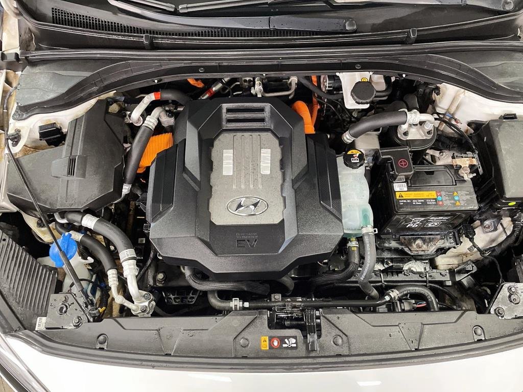 2019 Hyundai Ioniq in Saint-Hyacinthe, Quebec - 3 - w1024h768px