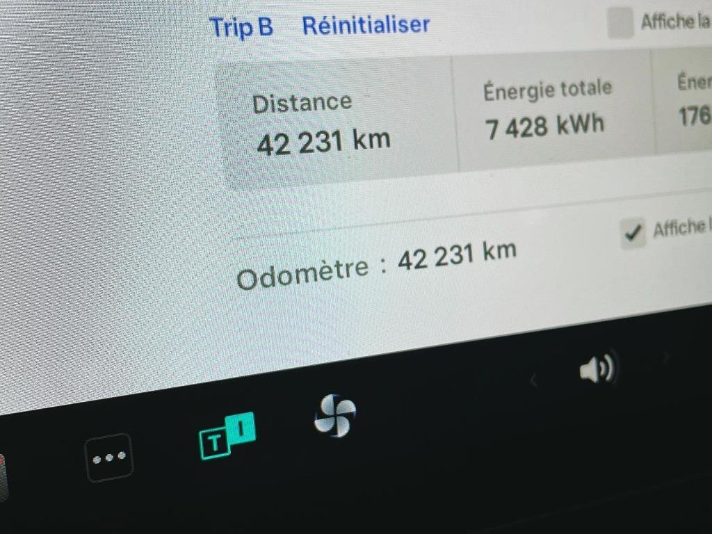 2021 Tesla MODEL 3 in Saint-Hyacinthe, Quebec - 14 - w1024h768px