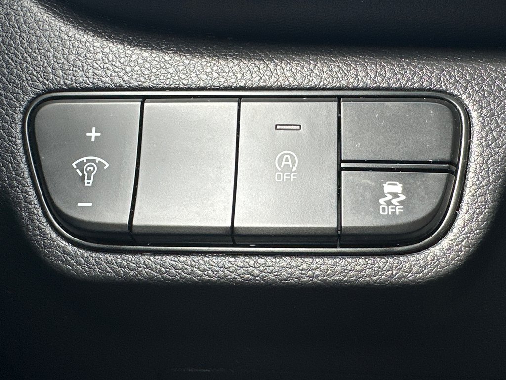 Kia Seltos EX AWD 2024 à Amos, Québec - 17 - w1024h768px
