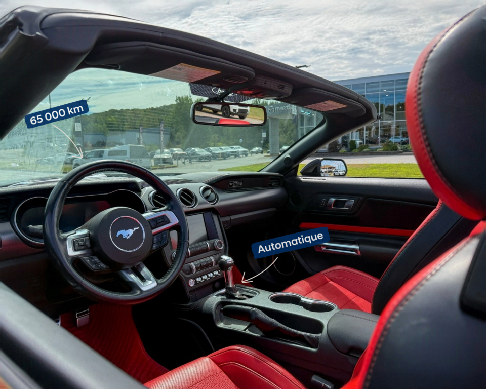 Ford Mustang Ecoboost 2020 à Mont-Tremblant, Québec - 7 - w1024h768px