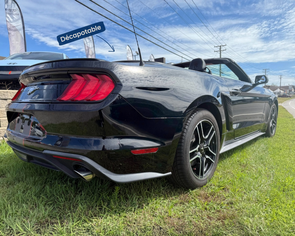 Ford Mustang Ecoboost 2020 à Mont-Tremblant, Québec - 4 - w1024h768px