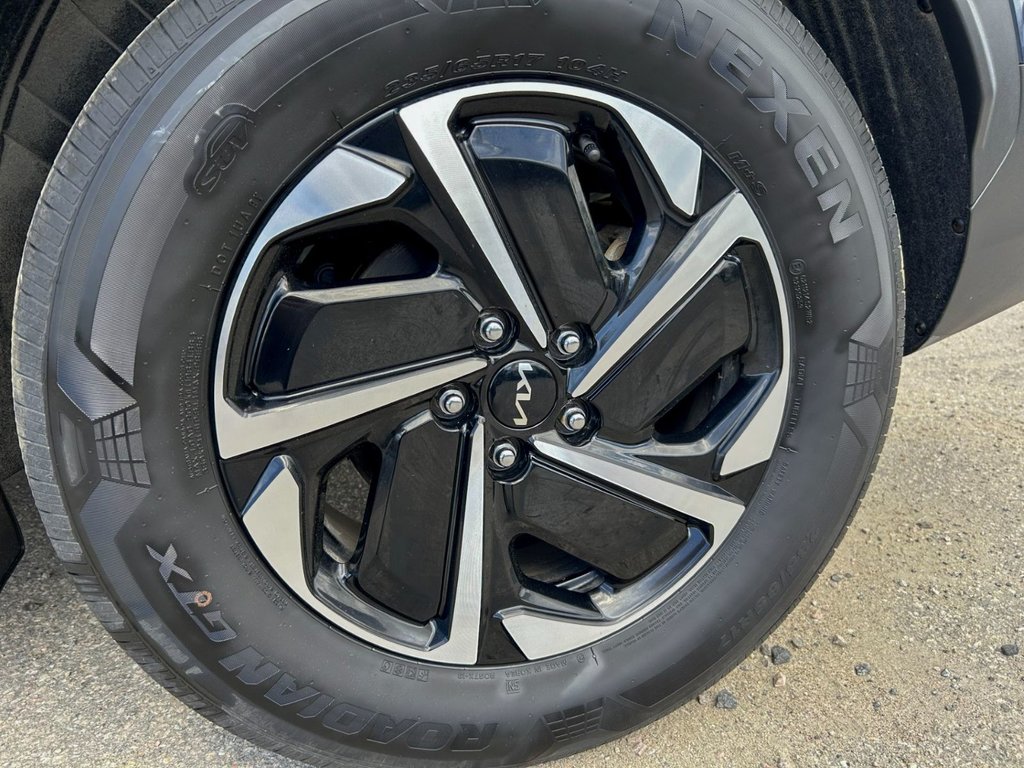 Kia Sportage Hybrid EX 2023 à Mont-Tremblant, Québec - 16 - w1024h768px