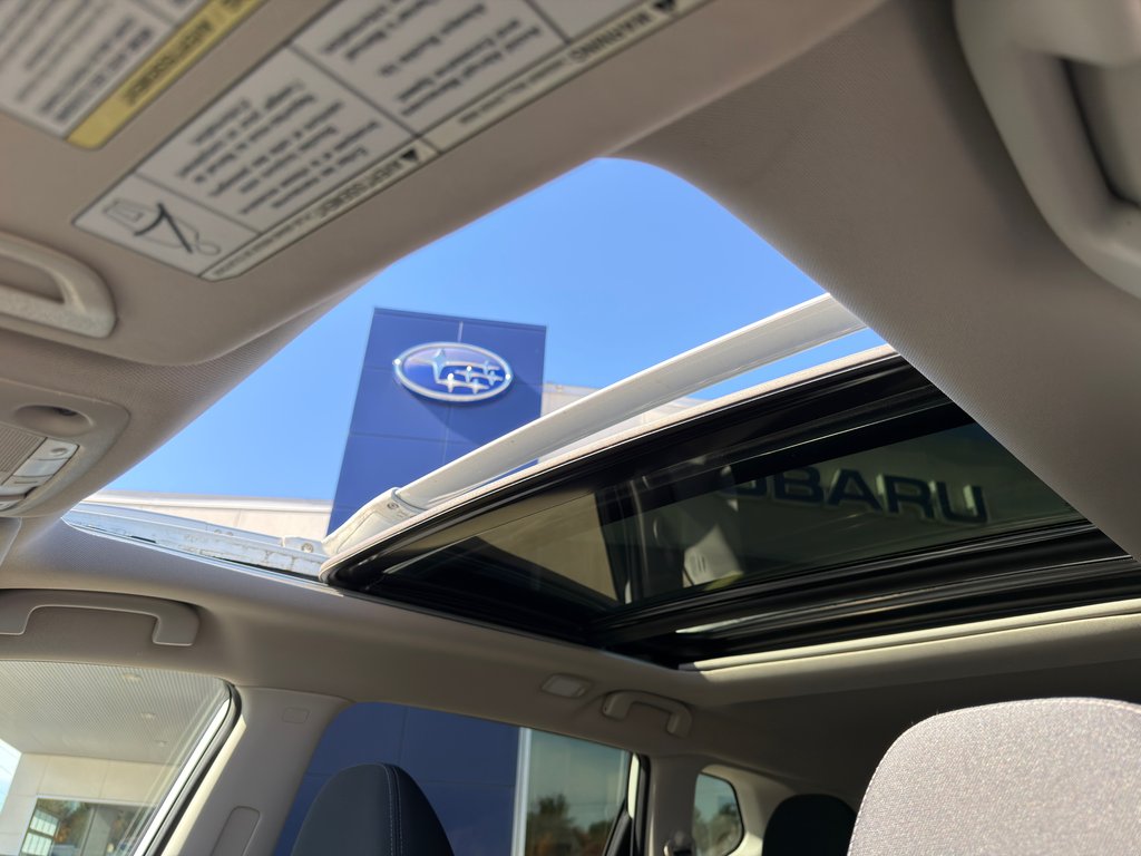 2020 Nissan Rogue SV in Notre-Dame-des-Prairies, Quebec - 35 - w1024h768px