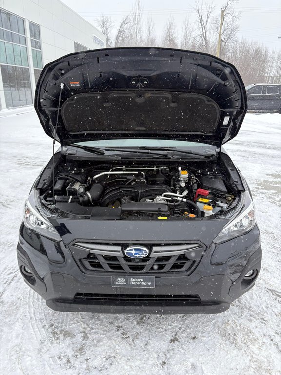 2022 Subaru Crosstrek OUTDOOR, CAMÉRA DE RECUL, BANC CHAUFFANT in Charlemagne, Quebec - 28 - w1024h768px