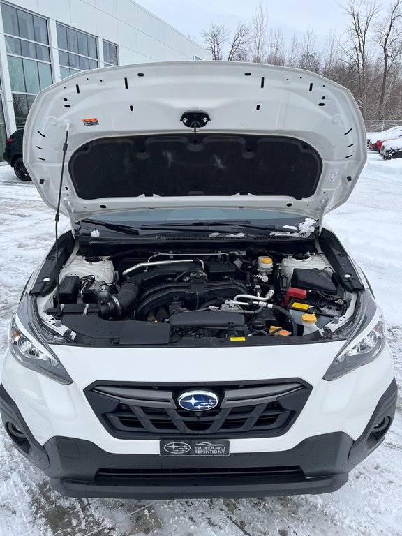 Subaru Crosstrek OUTDOOR,CAMÉRA DE RECUL,BANC CHAUFFANT 2023 à Charlemagne, Québec - 29 - w1024h768px