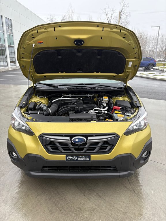 2023 Subaru Crosstrek OUTDOOR, BANC CHAUFFANT, CAMÉRA DE RECUL in Charlemagne, Quebec - 28 - w1024h768px