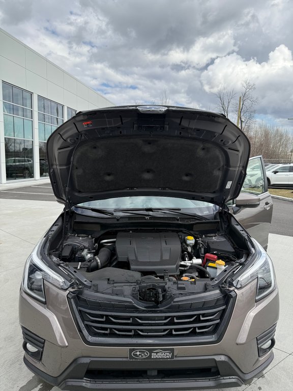 Subaru Forester LIMITED,CAMÉRA DE RECUL,BANC CHAUFFANT 2023 à Charlemagne, Québec - 34 - w1024h768px