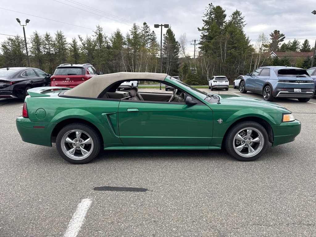 1999 Ford Mustang in Miramichi, New Brunswick - 13 - w1024h768px