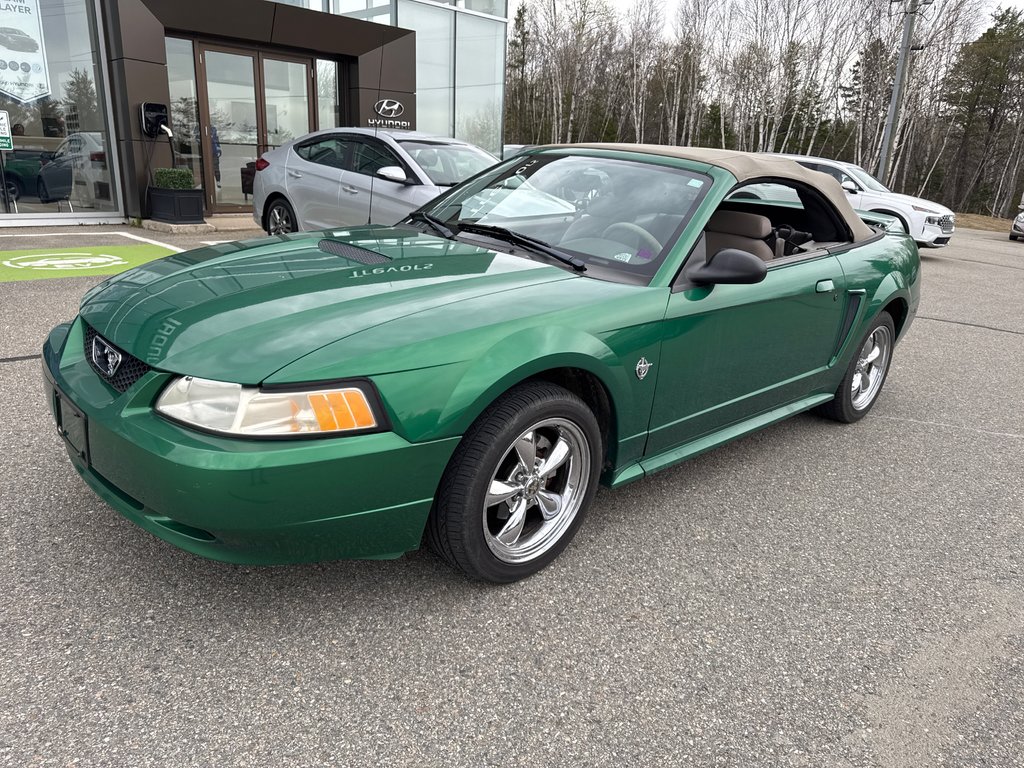 1999 Ford Mustang in Miramichi, New Brunswick - 12 - w1024h768px