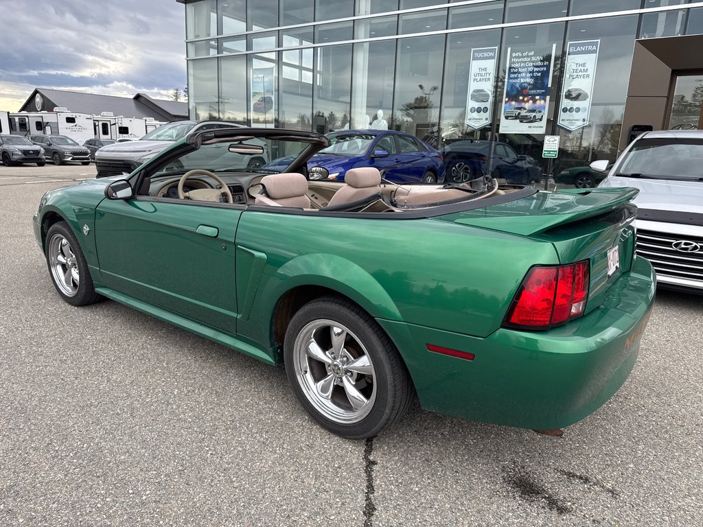 1999 Ford Mustang in Miramichi, New Brunswick - 11 - w1024h768px