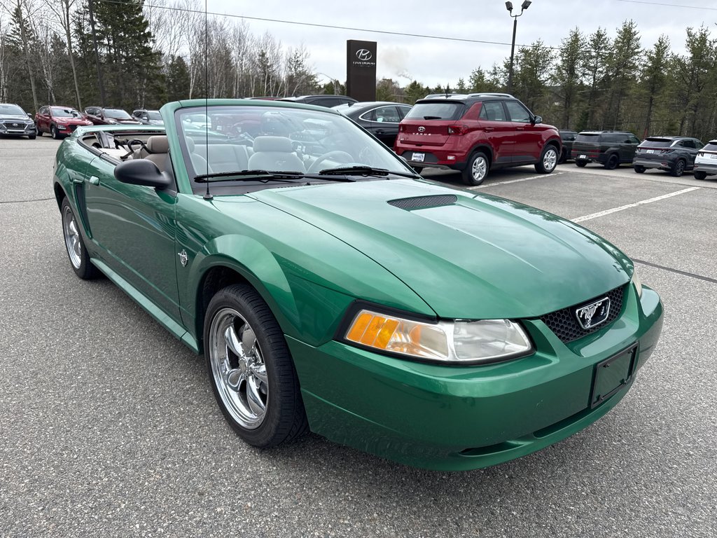 1999 Ford Mustang in Miramichi, New Brunswick - 9 - w1024h768px