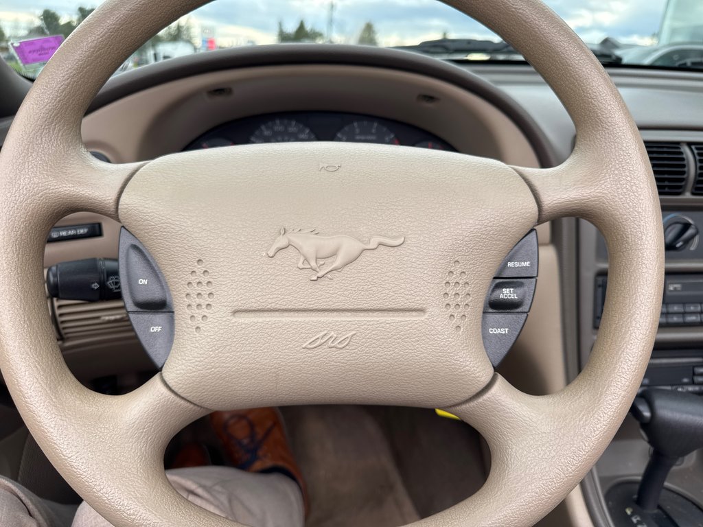 1999 Ford Mustang in Miramichi, New Brunswick - 4 - w1024h768px