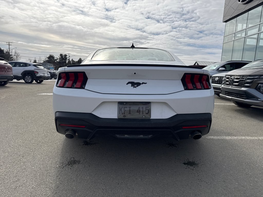 Ford Mustang  2024 à Miramichi, Nouveau-Brunswick - 12 - w1024h768px