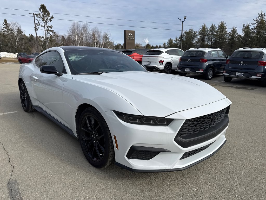 Ford Mustang  2024 à Miramichi, Nouveau-Brunswick - 10 - w1024h768px