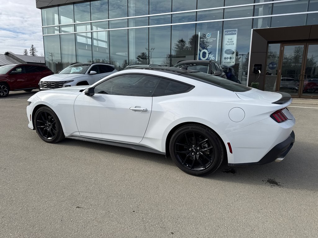 Ford Mustang  2024 à Miramichi, Nouveau-Brunswick - 2 - w1024h768px