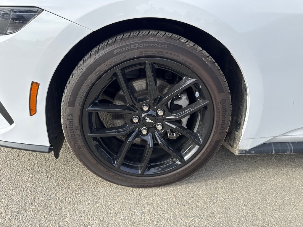 Ford Mustang  2024 à Miramichi, Nouveau-Brunswick - 13 - w1024h768px