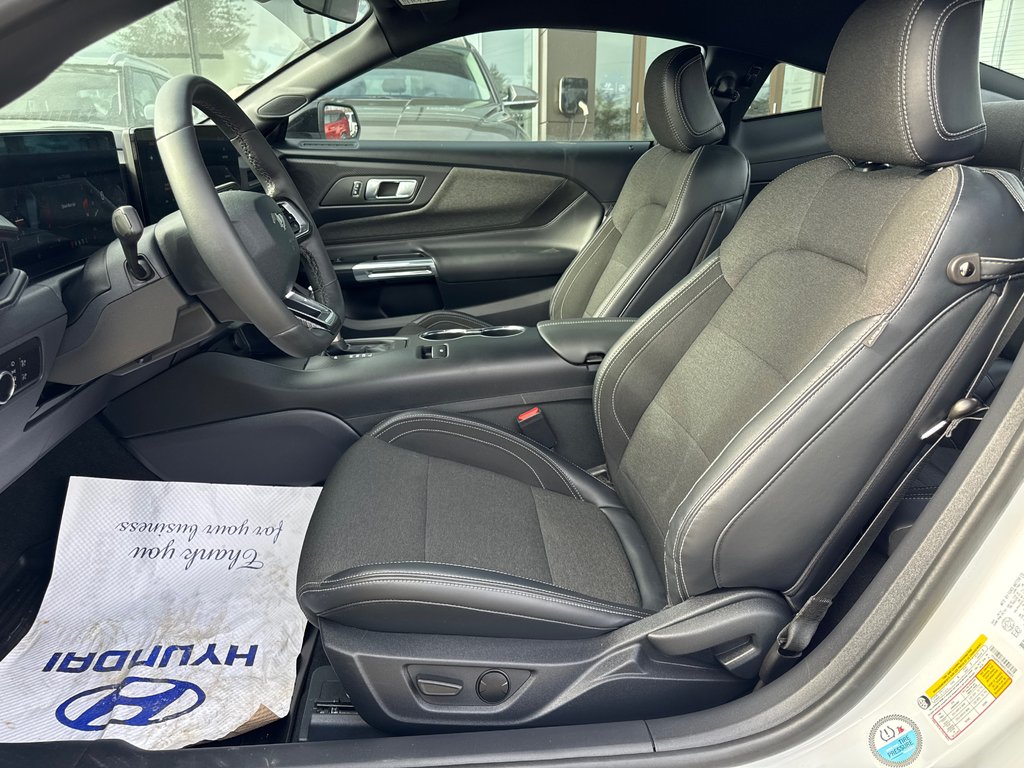 Ford Mustang  2024 à Miramichi, Nouveau-Brunswick - 9 - w1024h768px