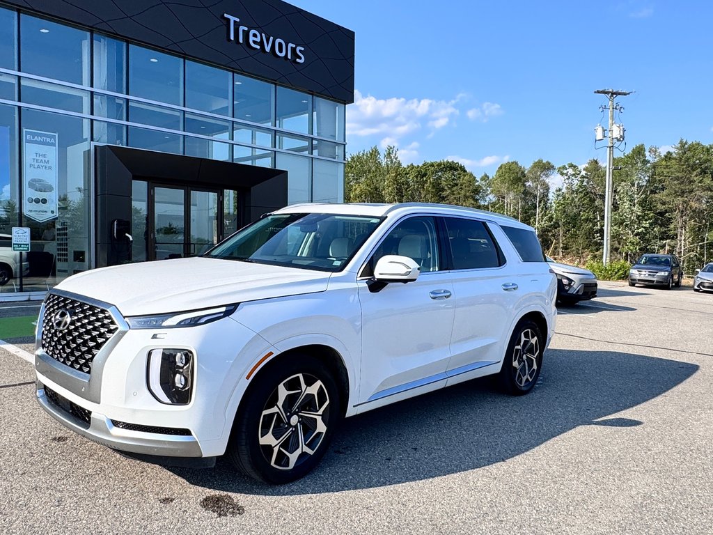 2021 Hyundai Palisade Ultimate Calligraphy in Miramichi, New Brunswick - 1 - w1024h768px