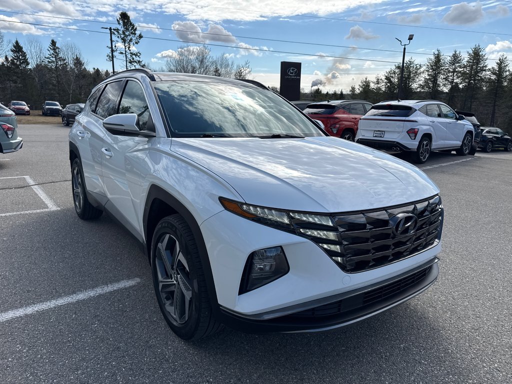 2022 Hyundai Tucson Hybrid Luxury in Miramichi, New Brunswick - 16 - w1024h768px
