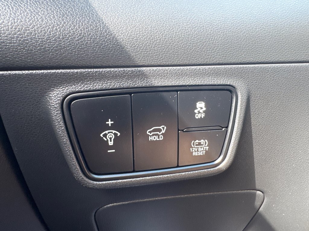 2022 Hyundai Tucson Hybrid Luxury in Miramichi, New Brunswick - 10 - w1024h768px