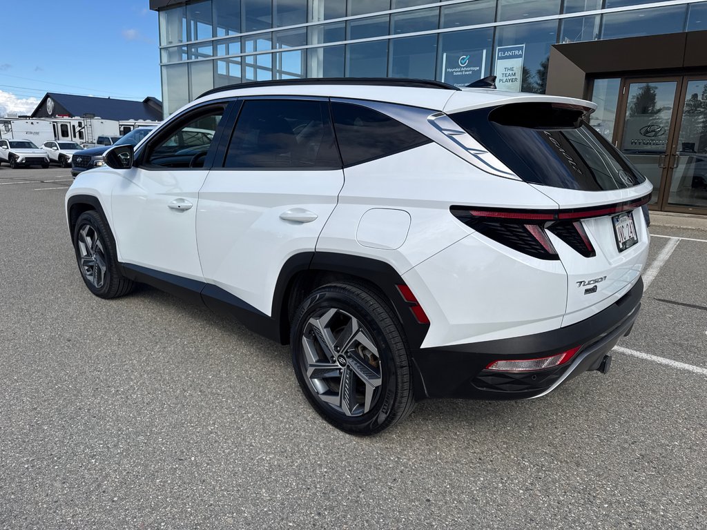 2022 Hyundai Tucson Hybrid Luxury in Miramichi, New Brunswick - 2 - w1024h768px