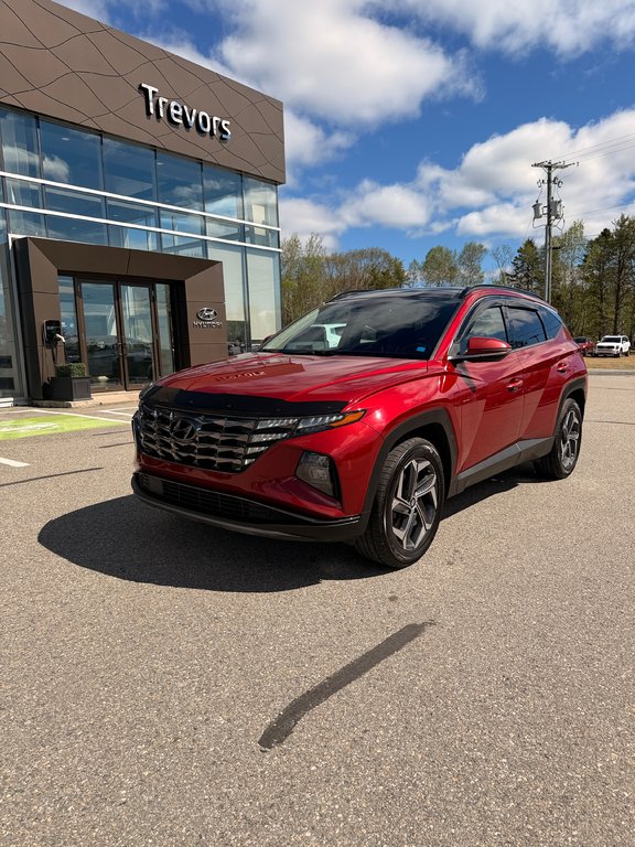 Hyundai Tucson Hybrid Luxury 2022 à Miramichi, Nouveau-Brunswick - 11 - w1024h768px