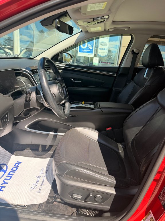 Hyundai Tucson Hybrid Luxury 2022 à Miramichi, Nouveau-Brunswick - 6 - w1024h768px