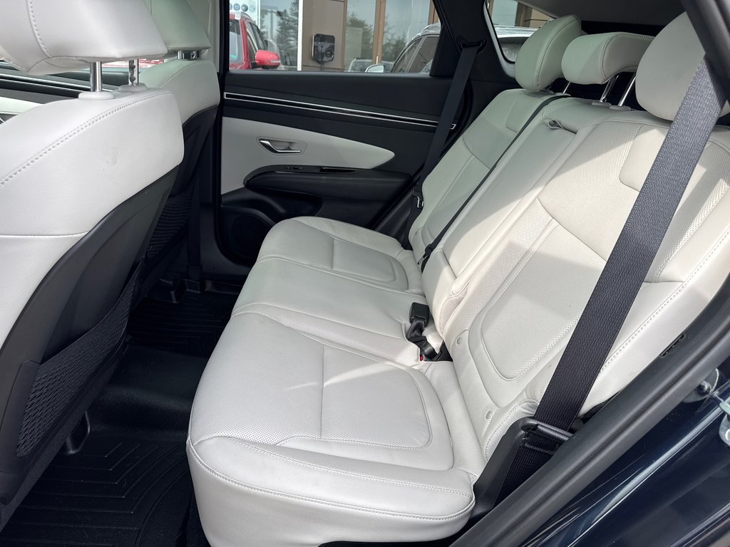 2023 Hyundai Tucson Hybrid Ultimate in Miramichi, New Brunswick - 13 - w1024h768px