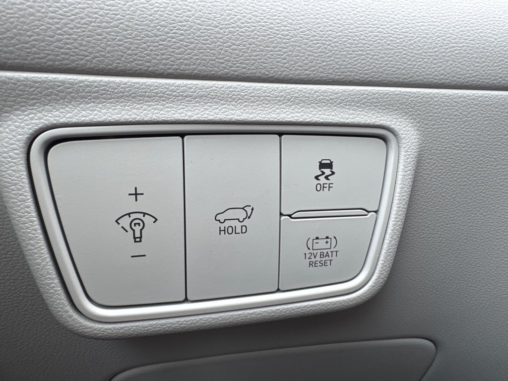 2023 Hyundai Tucson Hybrid Ultimate in Miramichi, New Brunswick - 11 - w1024h768px