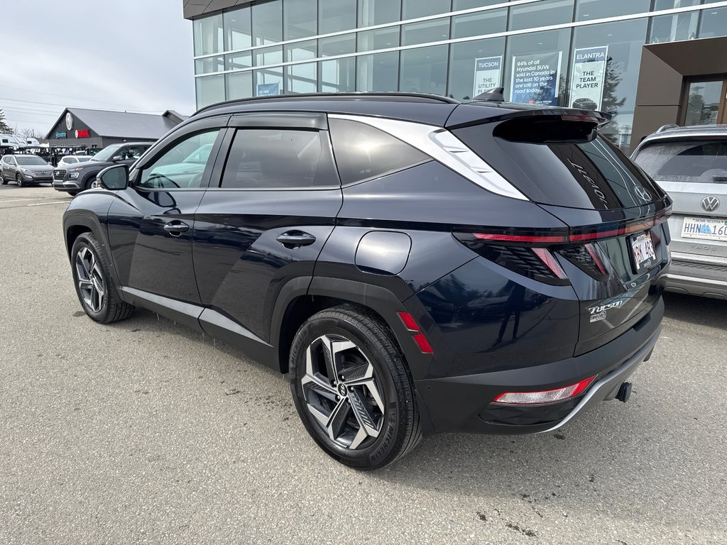 2023 Hyundai Tucson Hybrid Ultimate in Miramichi, New Brunswick - 17 - w1024h768px