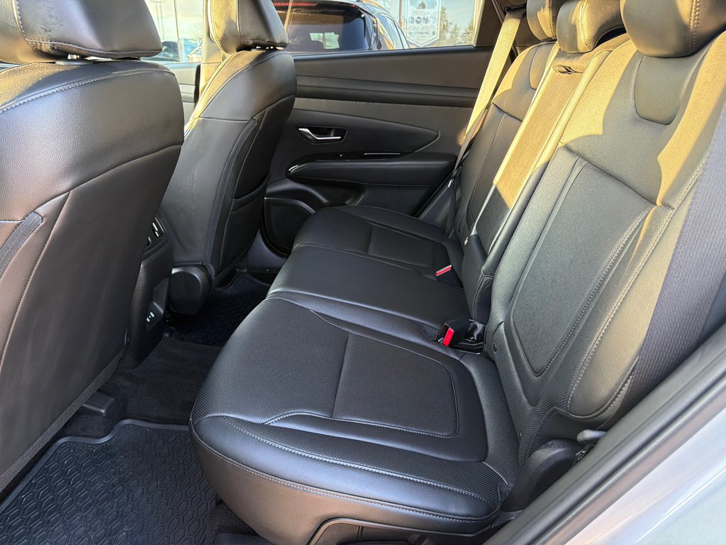 2025 Hyundai Tucson XRT in Miramichi, New Brunswick - 12 - w1024h768px