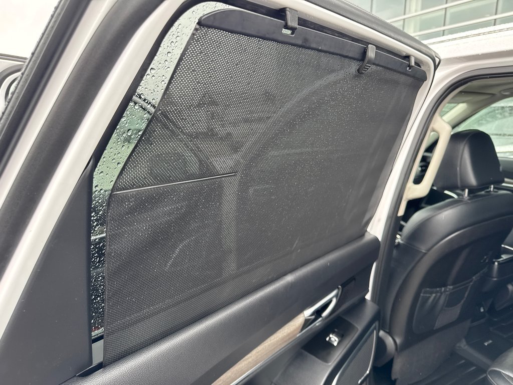 Kia Telluride SX 2022 à Miramichi, Nouveau-Brunswick - 14 - w1024h768px