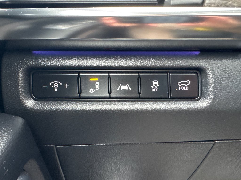 Kia Telluride SX 2022 à Miramichi, Nouveau-Brunswick - 10 - w1024h768px