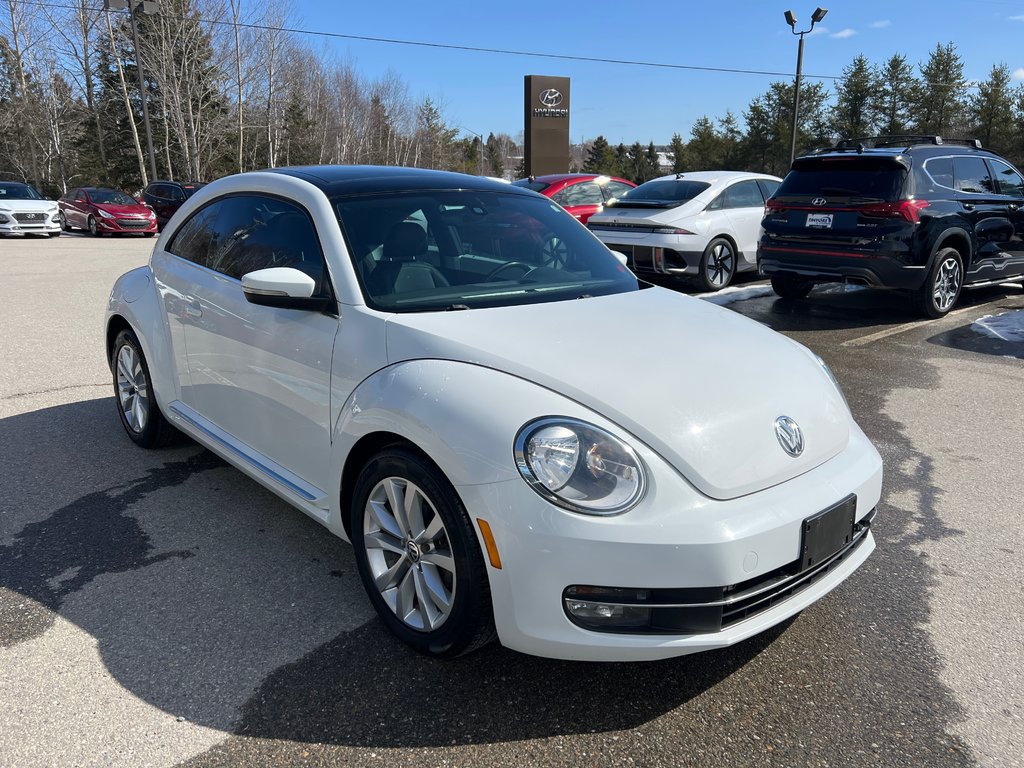 2015  Beetle Coupe in Miramichi, New Brunswick - 5 - w1024h768px