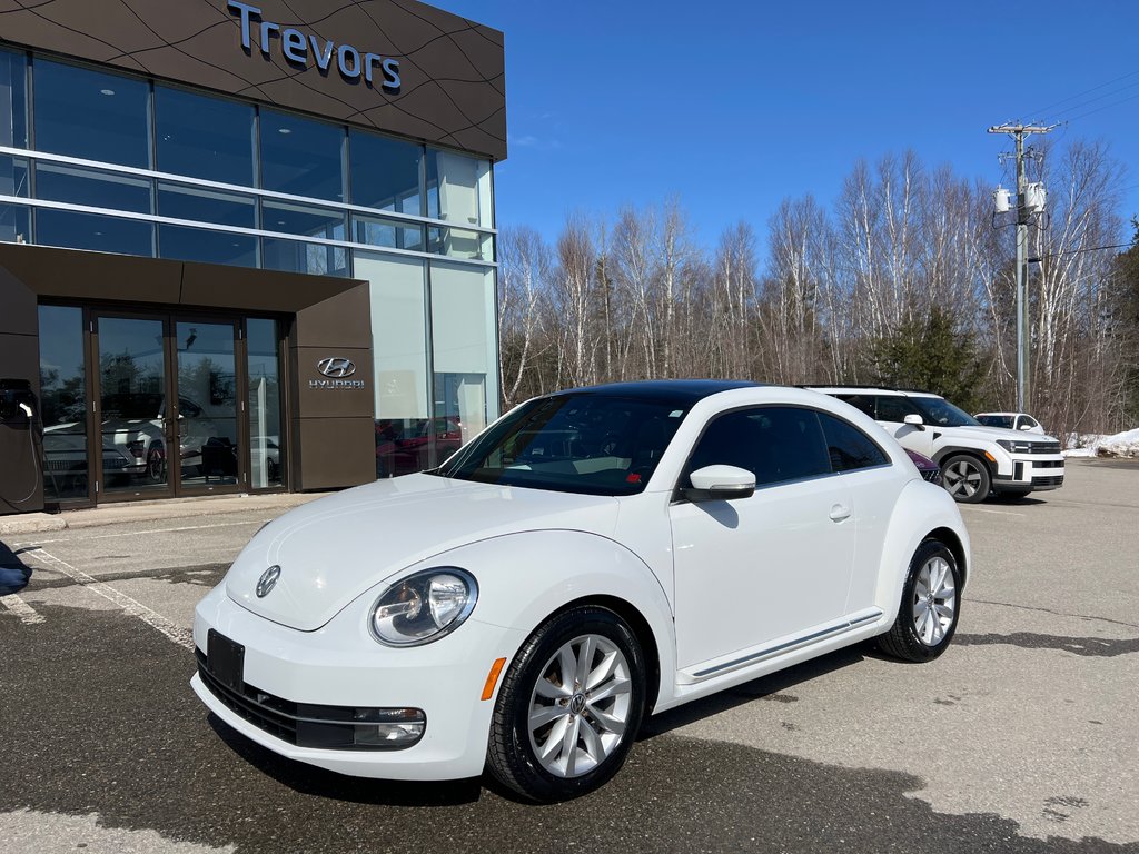 2015  Beetle Coupe in Miramichi, New Brunswick - 1 - w1024h768px