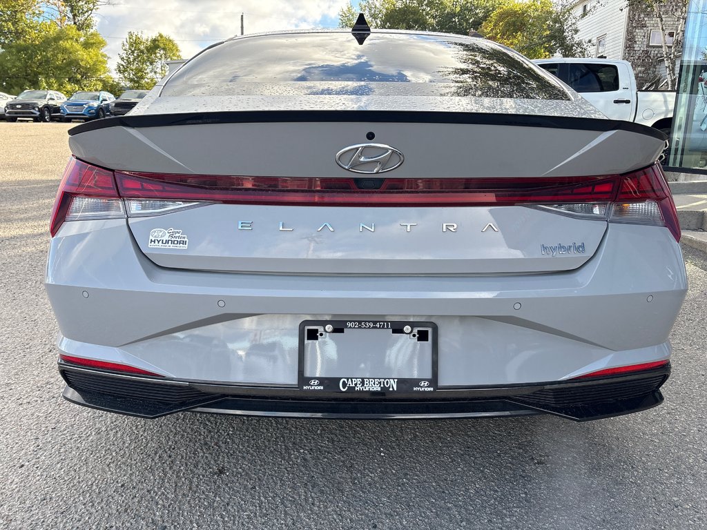 2023 Hyundai Elantra Hybrid Luxury in Sydney, Nova Scotia - 3 - w1024h768px