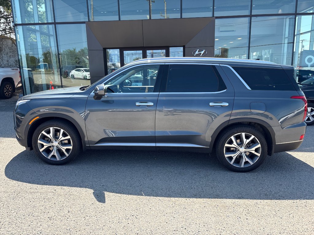 2021 Hyundai Palisade Luxury in Sydney, Nova Scotia - 2 - w1024h768px