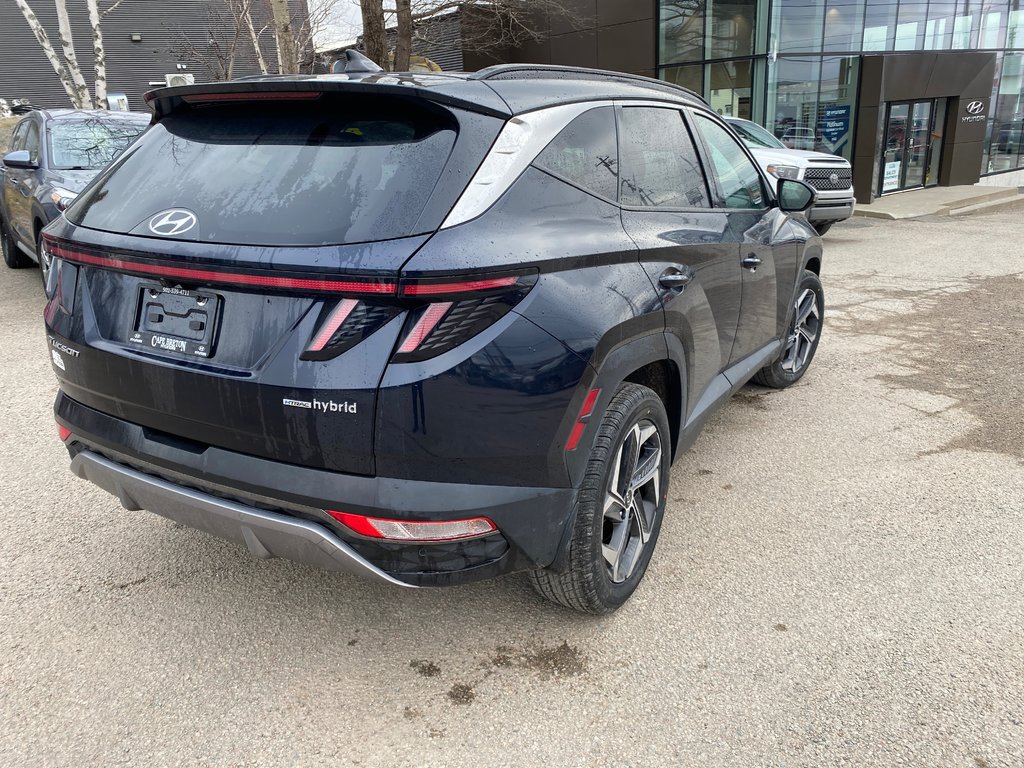 2022 Hyundai Tucson Hybrid Luxury in Sydney, Nova Scotia - 3 - w1024h768px