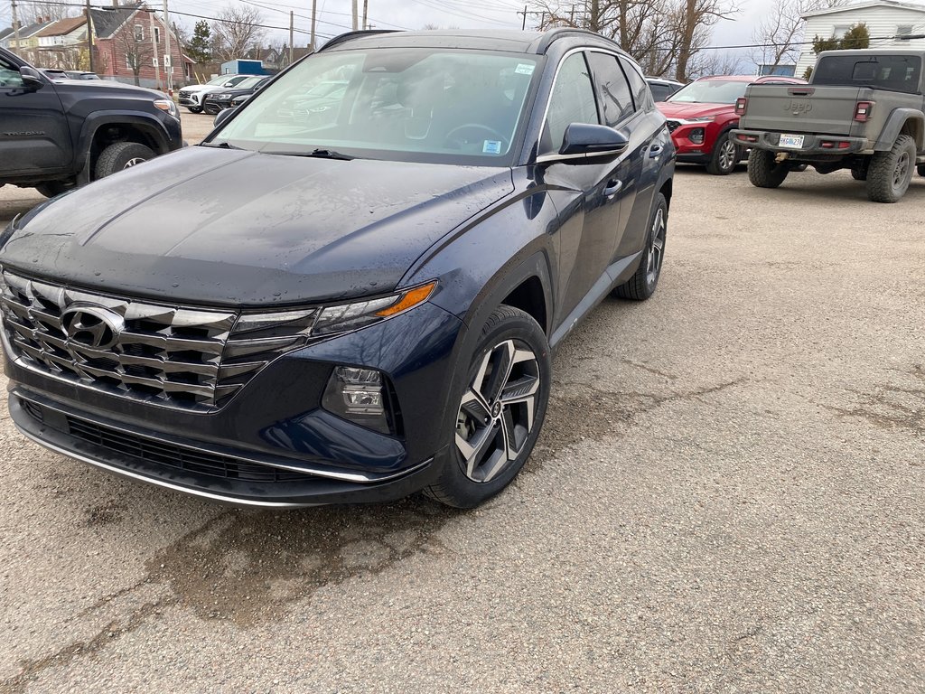 2022 Hyundai Tucson Hybrid Luxury in Sydney, Nova Scotia - 1 - w1024h768px