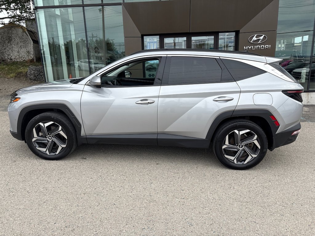 2022 Hyundai Tucson Hybrid Ultimate in Sydney, Nova Scotia - 13 - w1024h768px