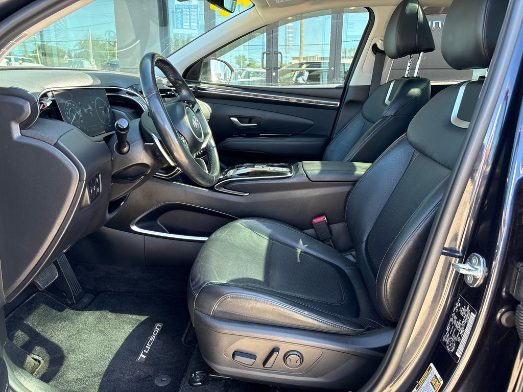 2023 Hyundai Tucson Hybrid in Sydney, Nova Scotia - 6 - w1024h768px